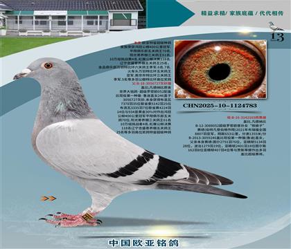 wԭ727_ܚWx?sh)?65S䌦