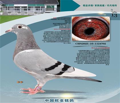 r911Ѫy(tng)555X911ֱŮ889ĸ