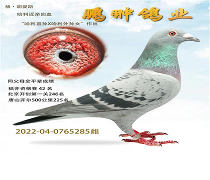哈利近親回血