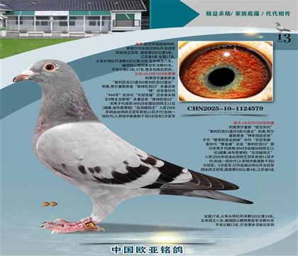 利奧原舍03近親024X歐元孫代029