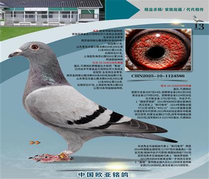 蓋比原舍魯?shù)?48X魯?shù)?98