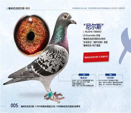 <第一黃金配對>尼爾斯005