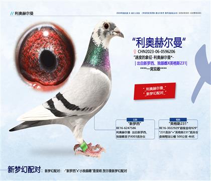 <利奧赫爾曼>新羅西獨眼雌X英格斯178