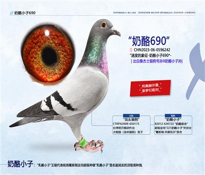<超級配對>奶酪小子孫X狼狗號直子