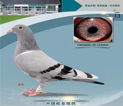 ɣʿǹ̖042Xɣʿ035