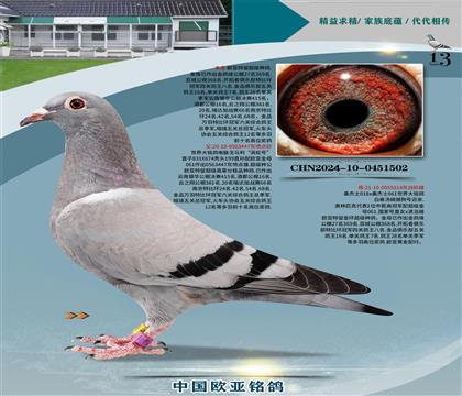 Xɣʿ447Xɣʿ314
