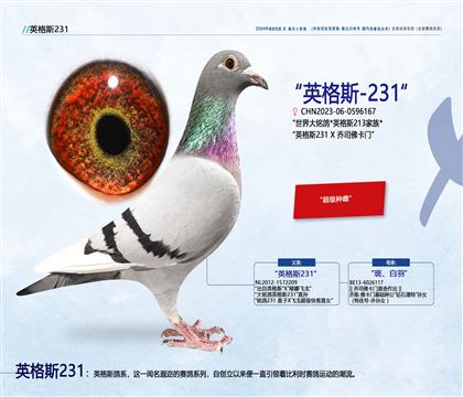 <喬司佛卡門>英格斯231孫X喬司佛卡門