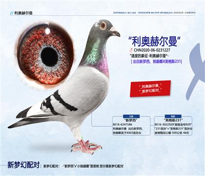 <利奧赫爾曼>利奧X英格斯