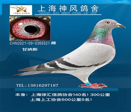 ϺL(fng)᣺ʼ{˹5