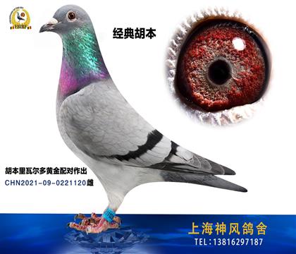 ϺL(fng)᣺S䌦ߠ