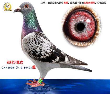 ϺL(fng)᣺ϿƠֱŮ