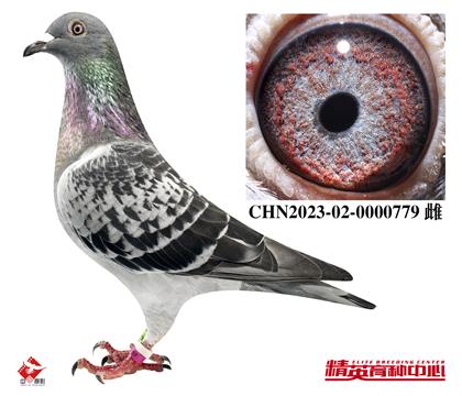 W(lin)ֱXֱOŮ