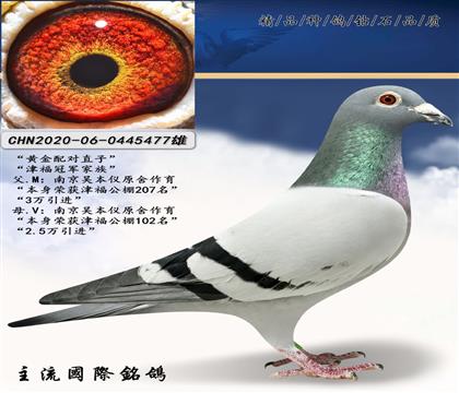 S䌦ֱӽ򸣹܊塱