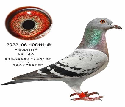ղɭԭ--h(hun)1111