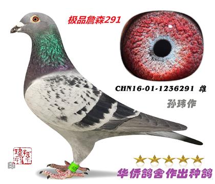 1̖(ho)--OƷղɭ-1236291-c(din)-