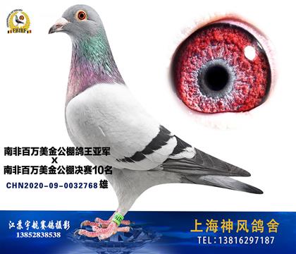 ϺL(fng)᣺Ϸ܊xϷ10