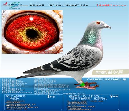 W.ՠ  ֱO䌦ֱOŮ