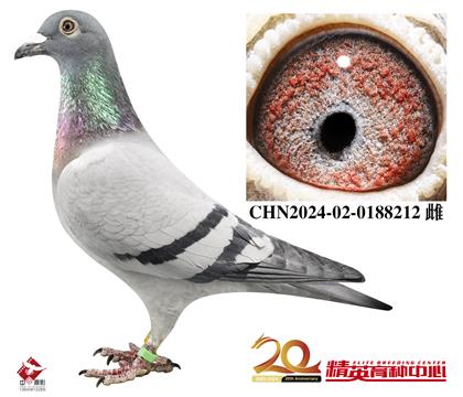 MС̩zOŮ