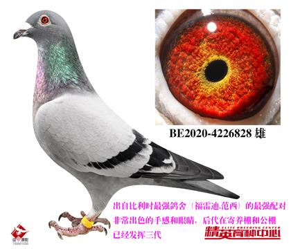 ׵.䌦ֱ