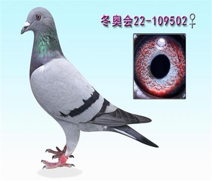 502