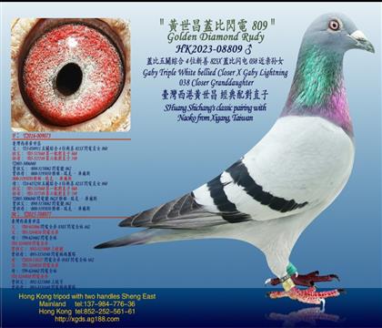 23h(hun)/wP(gun)C4λXwW038HOŮ