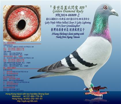 23h(hun)/wP(gun)C4λXwW038HOŮ