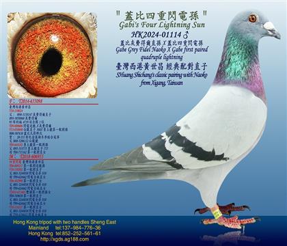 wȻM(fi)àֱOXwW늌O