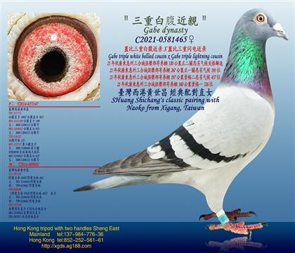 ϳǾ㘷/wذ׸HXwW늽H