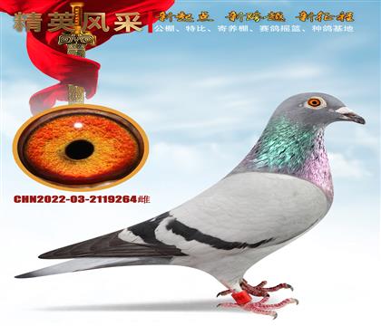 Ҽ̖(ho)_(chung)ƷN