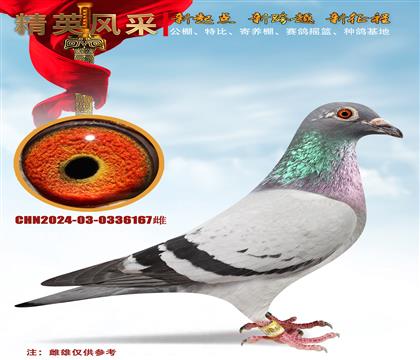 Ҽ̖(ho)Ꮘ_(chung)ֱŮ