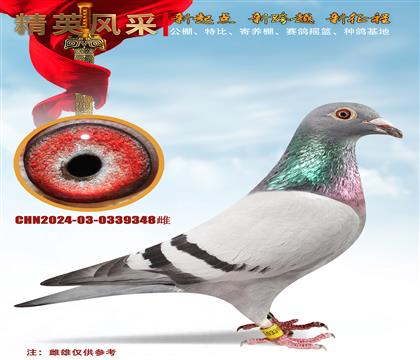 ʯɣʿľm