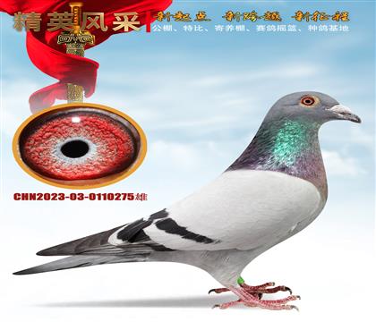 W(lin)(gu)Hõw