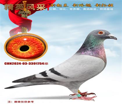 NСO.˶ػѪ