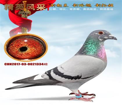 ʯɣʿһʿW늋