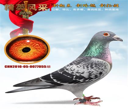 (j)N055߼(j)c(din)ۏ