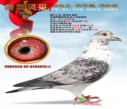 ƴõ塱ǧf