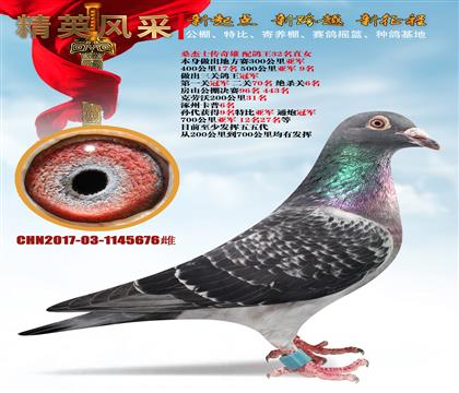 ʯɣʿ32
