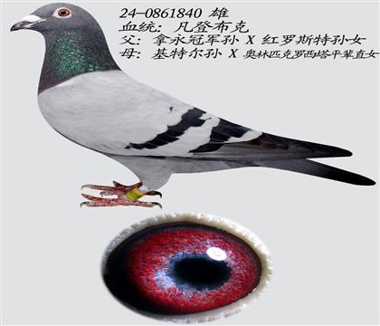 ǲ ܊ֱϵ