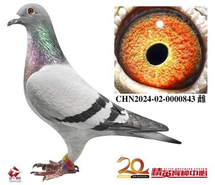 098HOŮ