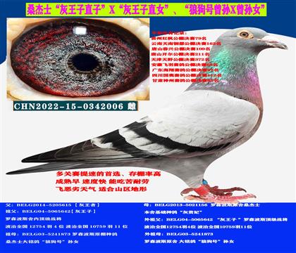 ɣʿӡֱXӡֱŮ