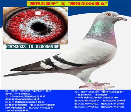 ǲˡؠֱXؠ006ֱŮ