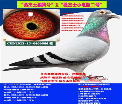 Կ̈́ ⣩ɣʿٶȷN