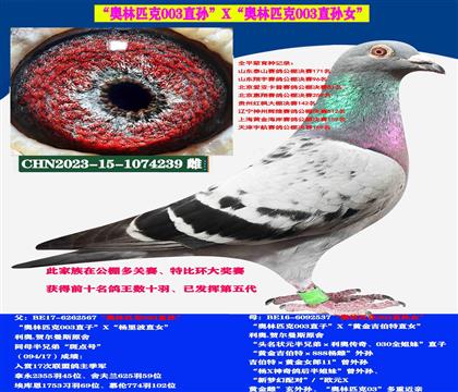WWƥ003ֱOXWƥ003ֱOŮ
