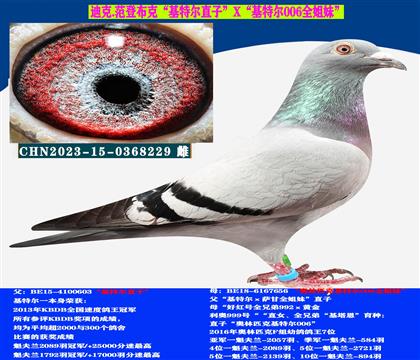 ؠֱXWƥ˻ؠ006ȫ