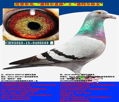 ǲˡؠֱOXؠֱOŮ