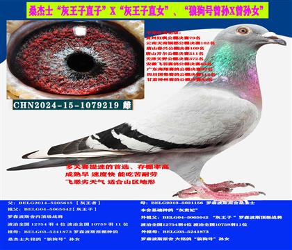 ɣʿӡֱXӡֱŮ
