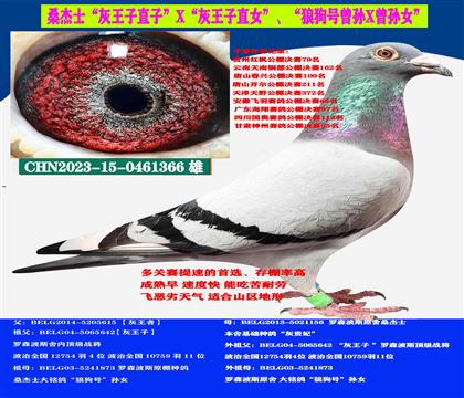  Կ̈́ڣ ɣʿٶ