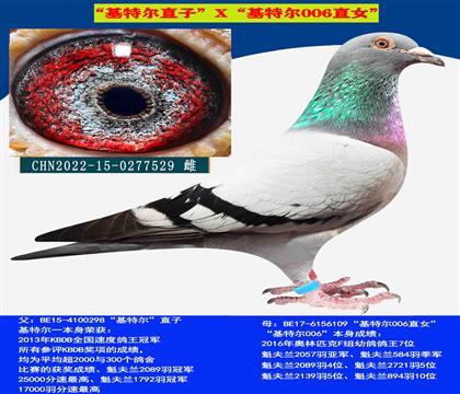ǲˡؠֱXؠ006ֱŮ