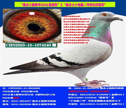 СwͣԿ̈́ ⣩ٶȷN p܊