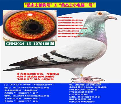 Կ̈́ ⣩ɣʿٶȷN